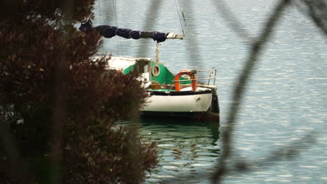 Colorful-vintage-sail-boat-moored-near-New-Zealand-coast