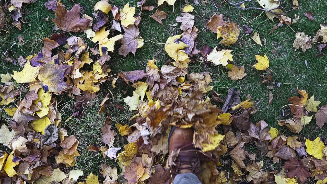 A stunning display of colorful autumn leaves covers the ground in a serene park and persons view walking on leaves