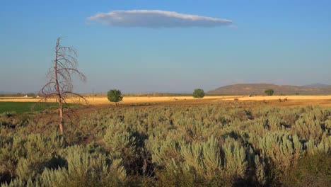 Lenticular-cloud-appears-above-the-desert