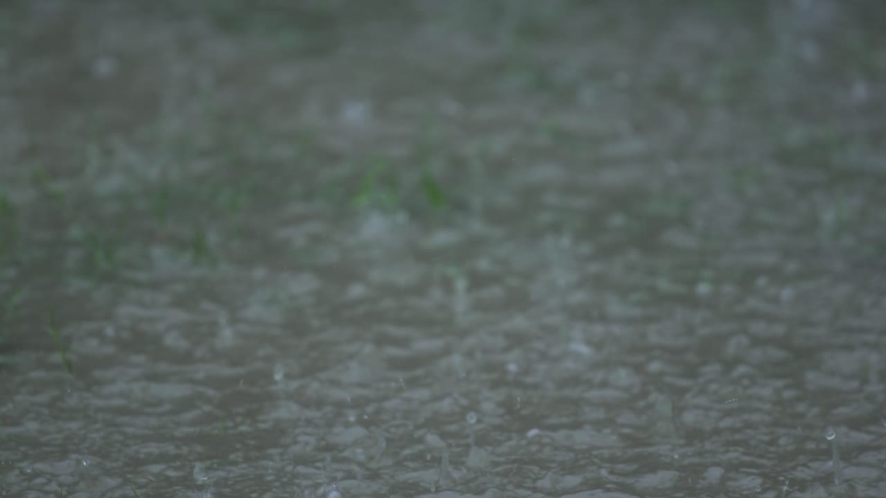 In the rainy season, eastern India receives heavy rainfall during the rainy season