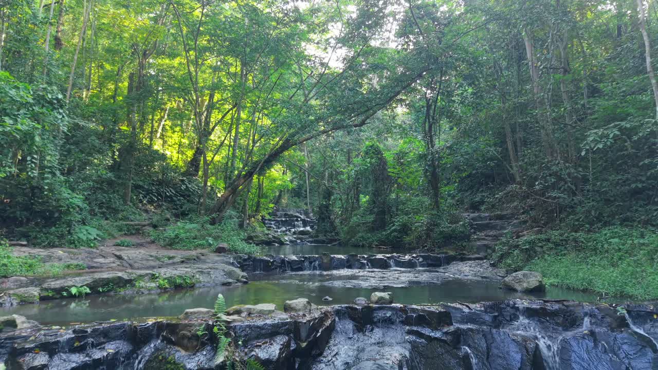 울창한 숲 속 의 아름다운 폭포