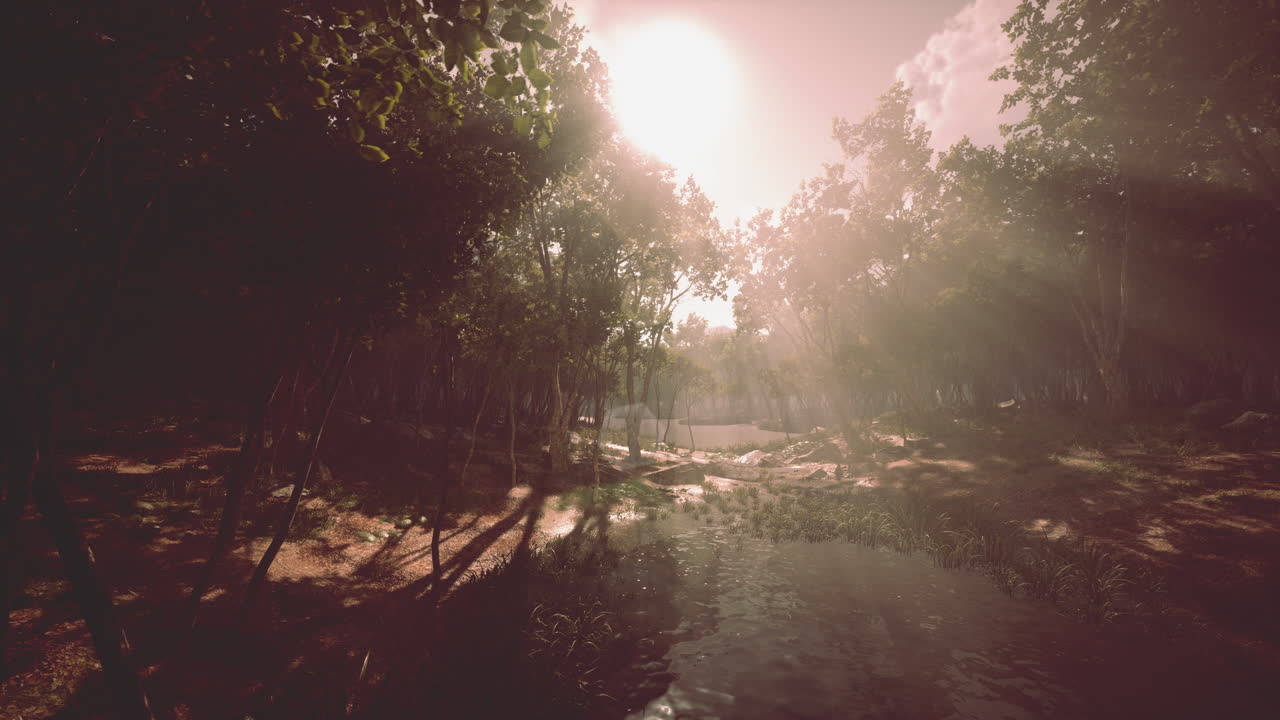 amanecer con rayos de sol a través del bosque junto al lago