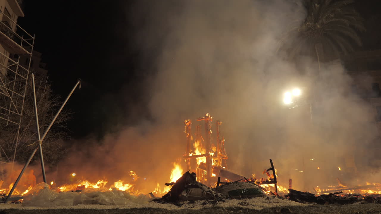 종려나무 사이 의 불