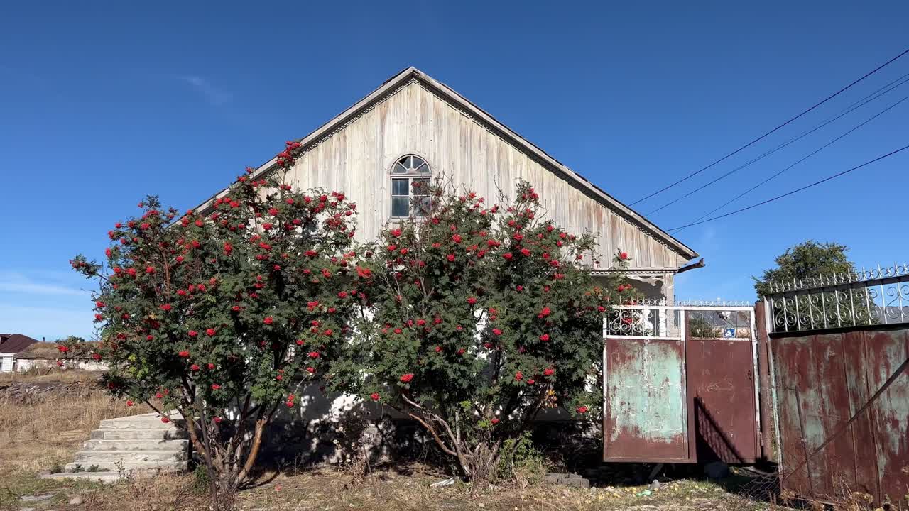 4k 정적 은 조지아 시골과 시골 생활을 포착합니다, samtskhe-javakheti 지역, 파라바니 호수 근처