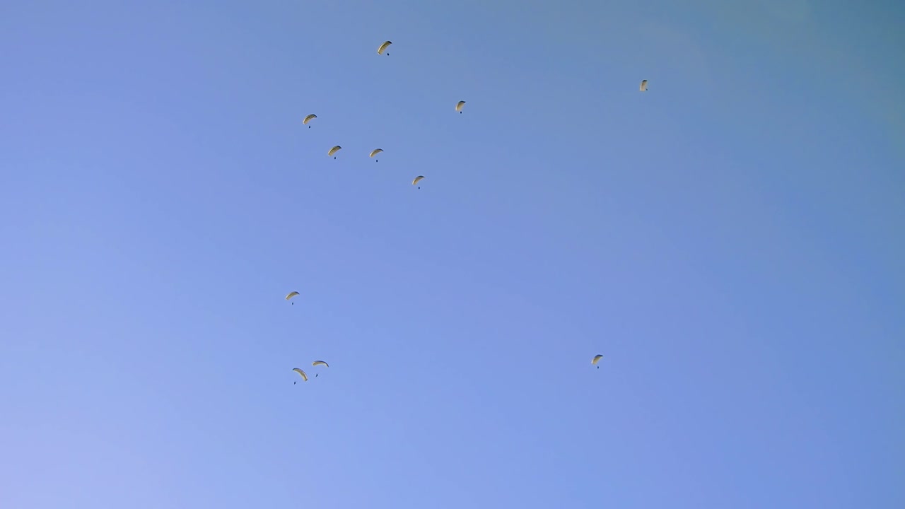 Many Paragliders Flying in a Blue Sky