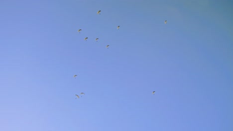 many paragliders flying in a blue sky