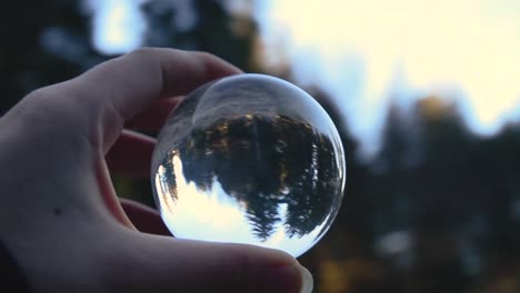 cerca de una mano femenina joven sosteniendo una bola de cristal que refleja el paisaje en un bosque otoñal mientras gira
