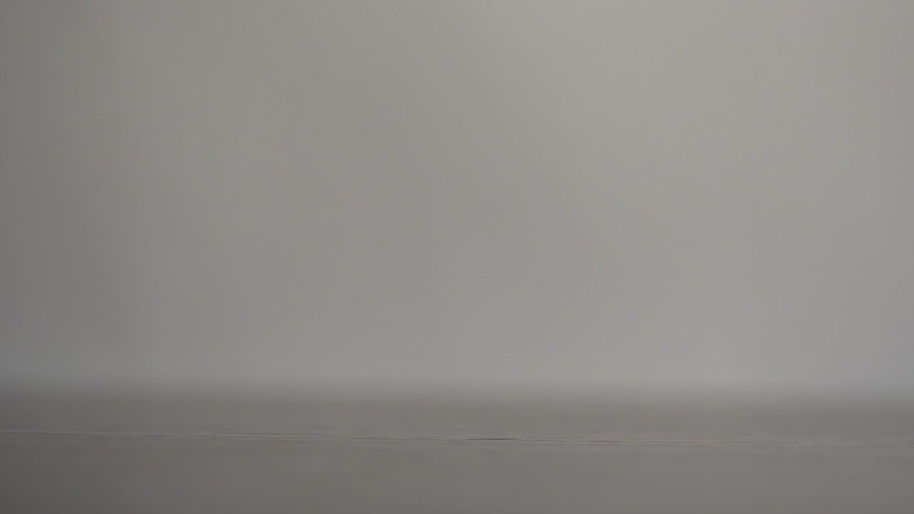 움직이는 나무 석탄 조각