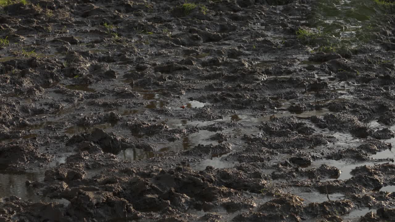 공원에서 아름다운 날, 도시 한가운데에서