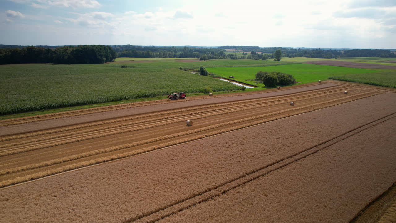 Luftaufnahme rückwärts von einem Traktor, der Mais von einem Feld auf dem Land in der Sommersaison erntet - Wald im Hintergrund