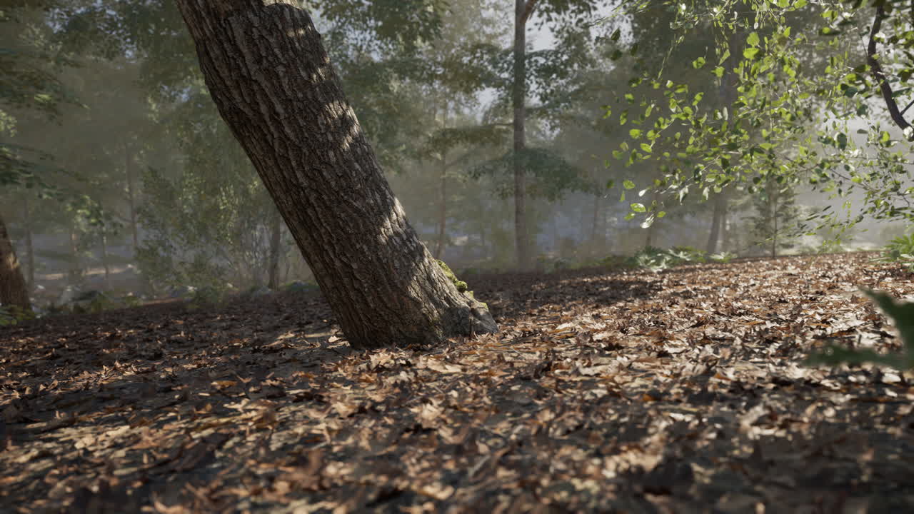 A sunlit forest with a leaning tree and scattered autumn leaves in the morning