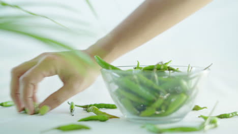 close up shot of green chilli falling into a glass bowl and remaining been collected by hands on a white background