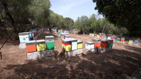 establisher wide shot of many colorful beehives boxes in countryside rural field