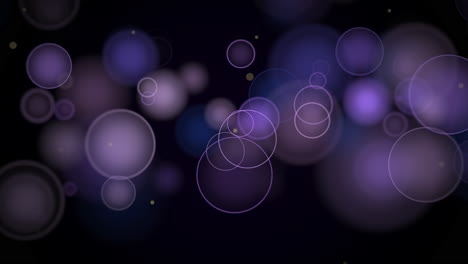 motion and fly purple particles and round bokeh on dark animation background