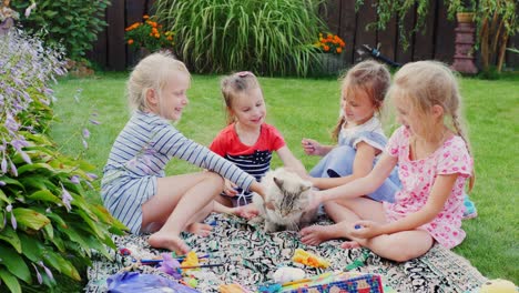 four girlfriends three-six years old playing with a cat in the yard, sitting on the lawn and stroking a cat