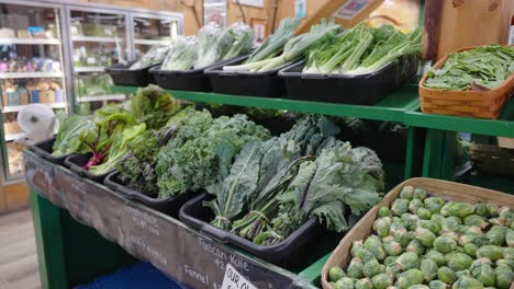 Fresh-produce-on-sale-at-a-grocery-store