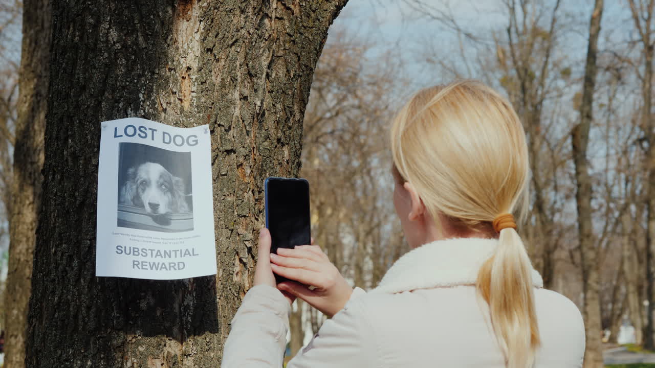 mujer toma fotos del anuncio de la mascota desaparecida