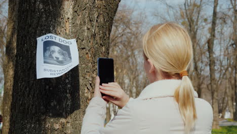 Frau-Macht-Fotos-Von-Der-Bekanntgabe-Des-Vermissten-Haustiers