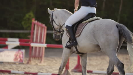 back view of rider on a horse. back view of a rider with a horse slow motion