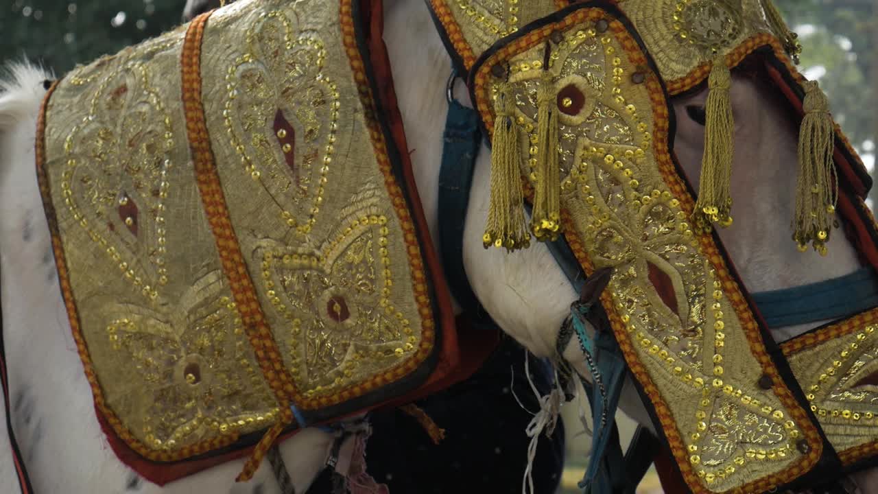 더르바르 축제를 위한 말 장식, 클로즈업