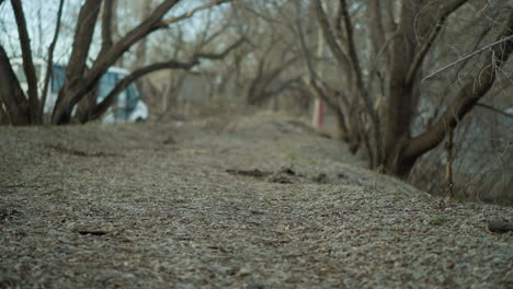 a deserted forest path with a soft focus on the ground and trees in the background, with white car passing by