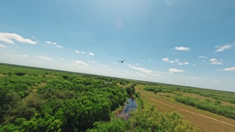 punto de vista de pájaro volador fpv dron aéreo volando detrás de un ave de rapiña sobre el río en una exuberante y vasta tierra de rancho en texas