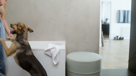 mujer y perro en el baño