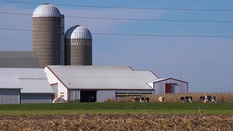 Etablierung-Einer-Ländlichen-Farm-Im-Mittleren-Westen-Der-USA-1