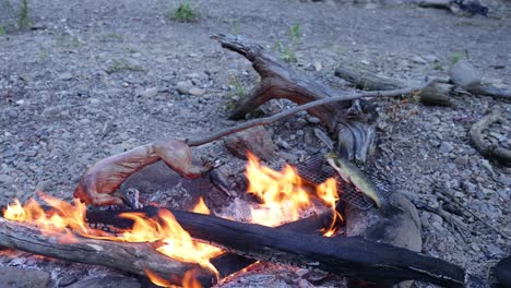 Nahaufnahme-Von-Einem-Kaninchen-Und-Einer-Forelle,-Die-über-Einem-Feuer-Im-Busch-Gekocht-Werden