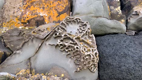 roca sedimentaria estructura cantos rodados pila