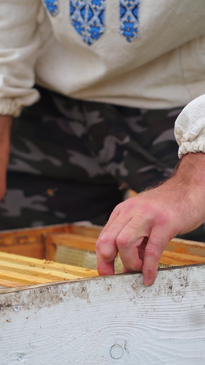 Beekeeper is working with bees and beehives on the apiary. Frames of a bee hive Vertical video