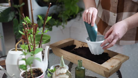 creative hands using scoop to carefully transfer dark soil from wooden container into white planter on glass table surrounded by gardening tools, seedlings, and vibrant plants under soft indoor light