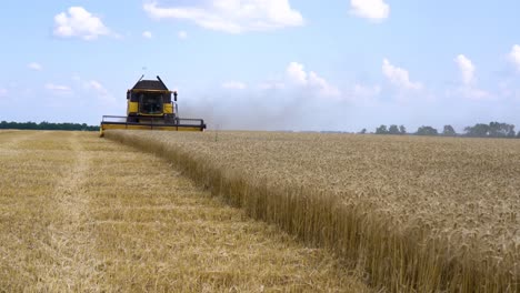 Una-Cosechadora-Cosecha-Campos-De-Cultivos-De-Trigo-Durante-El-Verano-En-Ucrania