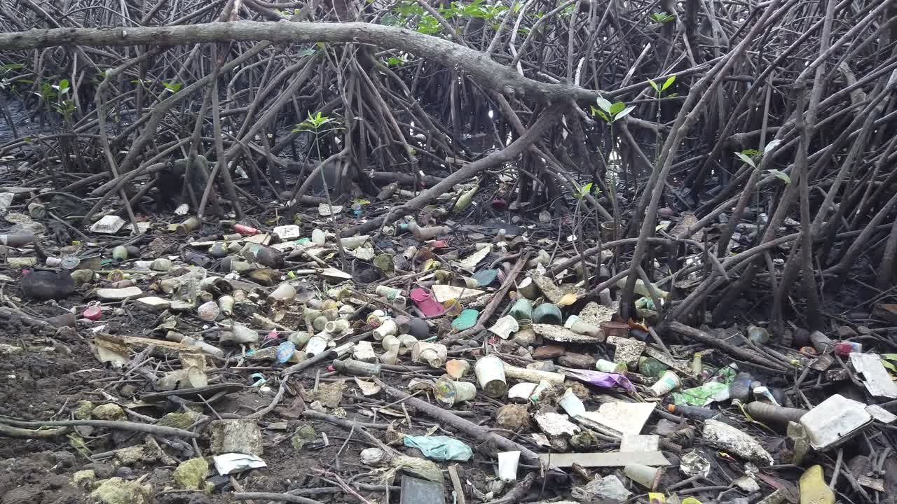 인도네시아 발리 맹그로브 숲의 플라스틱 쓰레기 덤프, 자연 오염 환경, 야외 쓰레기 쓰레기 매립장