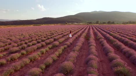 mujer caminando por un campo de lavanda al atardecer