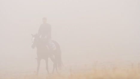 man riding horse in dense fog