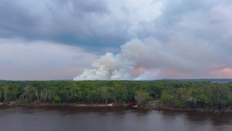 big wildlife burning in the amazon forest in brazil.