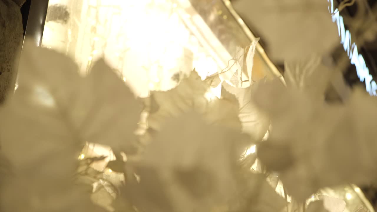 White Floral Display with Lights