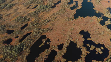 Vista-Aérea-Del-Pantano-Con-Muchos-Estanques-De-Agua-Y-Piscinas-En-El-Pantano-De-Pilka,-Letonia