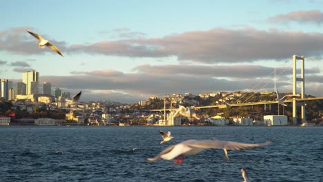 Vista-Del-Paisaje-Urbano-De-Estambul-Con-Un-Horizonte-Moderno-Al-Lado-Del-Puente-Del-Bósforo