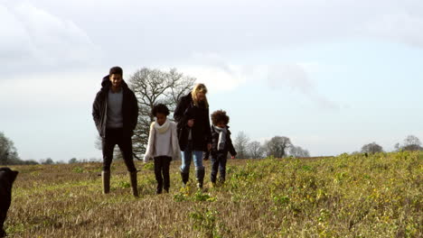 family walking with dogs in countryside shot on r3d