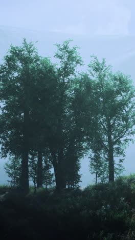 misty morning in tranquil forest with silhouettes of trees against mountains