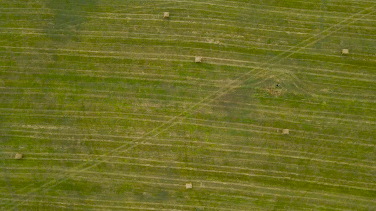 Top down aerial drone footage view of freshly made silage wheat hay bale rolls while camera glides and is flying over a grassy green and brown summer or autumn farm field land at cloudy day time