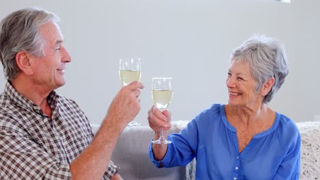 senior couple drinking white wine