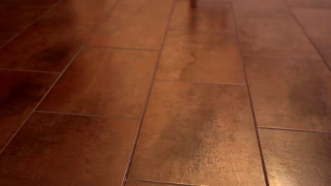 interior floor tiles - rectangular and installed the pieces