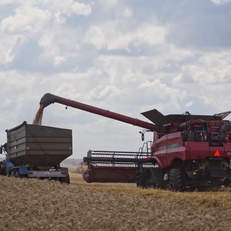 machine loading seeds in trailer