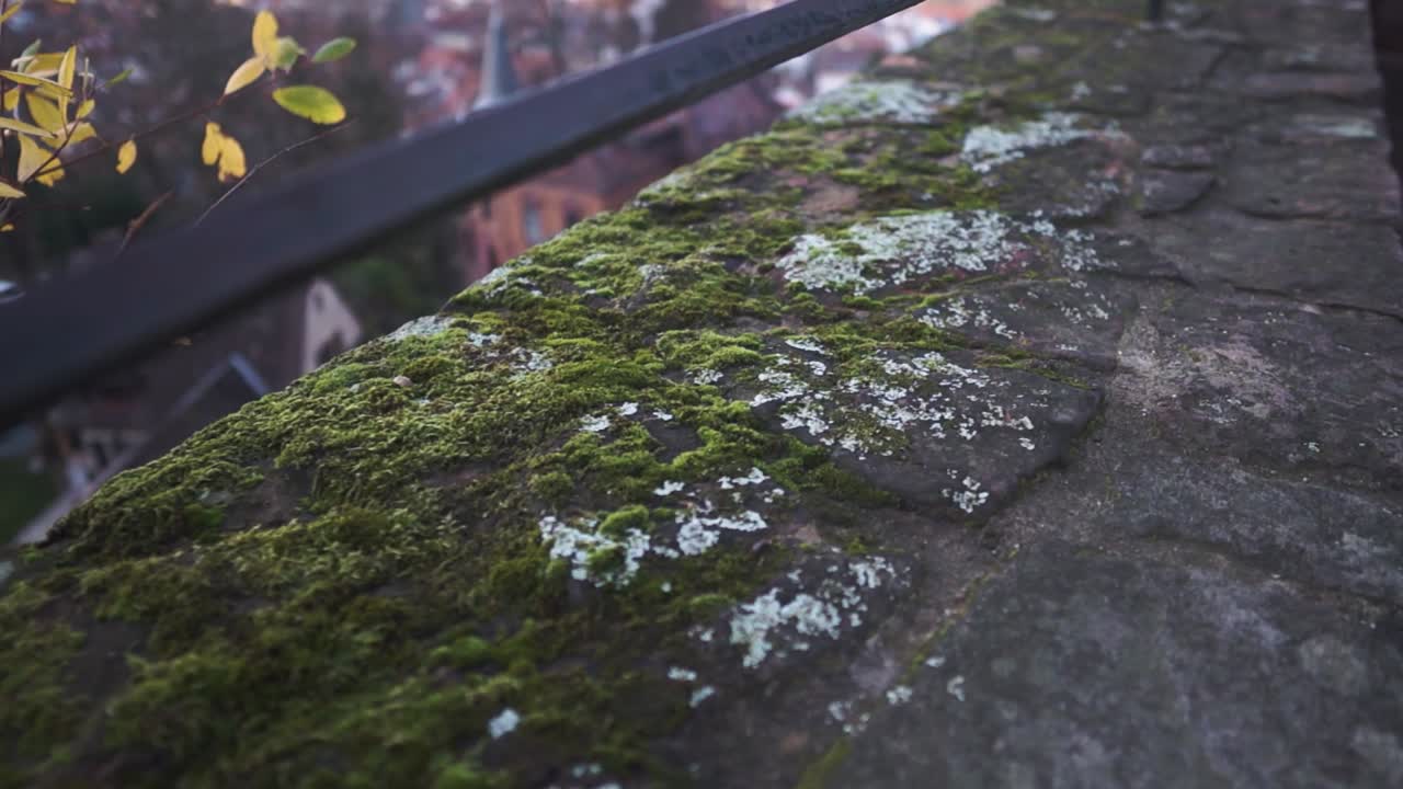 Moss grows on old stone wall with a metal hand rail.