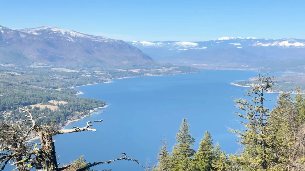 Scatto a mano libera del lago Shuswap a Blind Bay, vista serena di montagne innevate e fitte foreste, illuminazione naturale, inquadratura chiara, che evoca tranquillità e vastità.