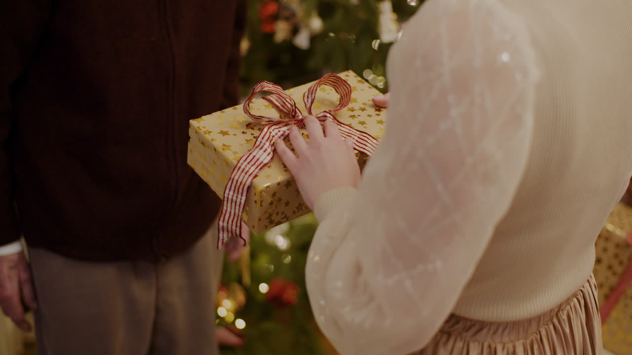 집에서 할아버지에게 크리스마스 선물을 주는 손녀