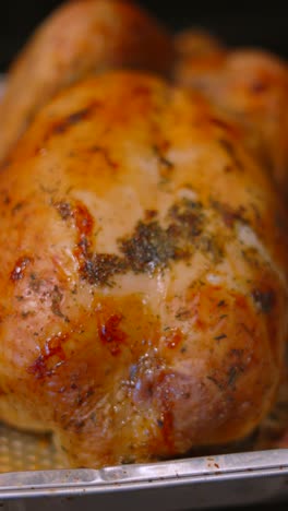 vertical video moving towards british roasted whole chicken with garlic seasoning in tray. delicious cooking food photography.